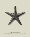 The Starfish Study | Vintage Starfish Fine Art Print