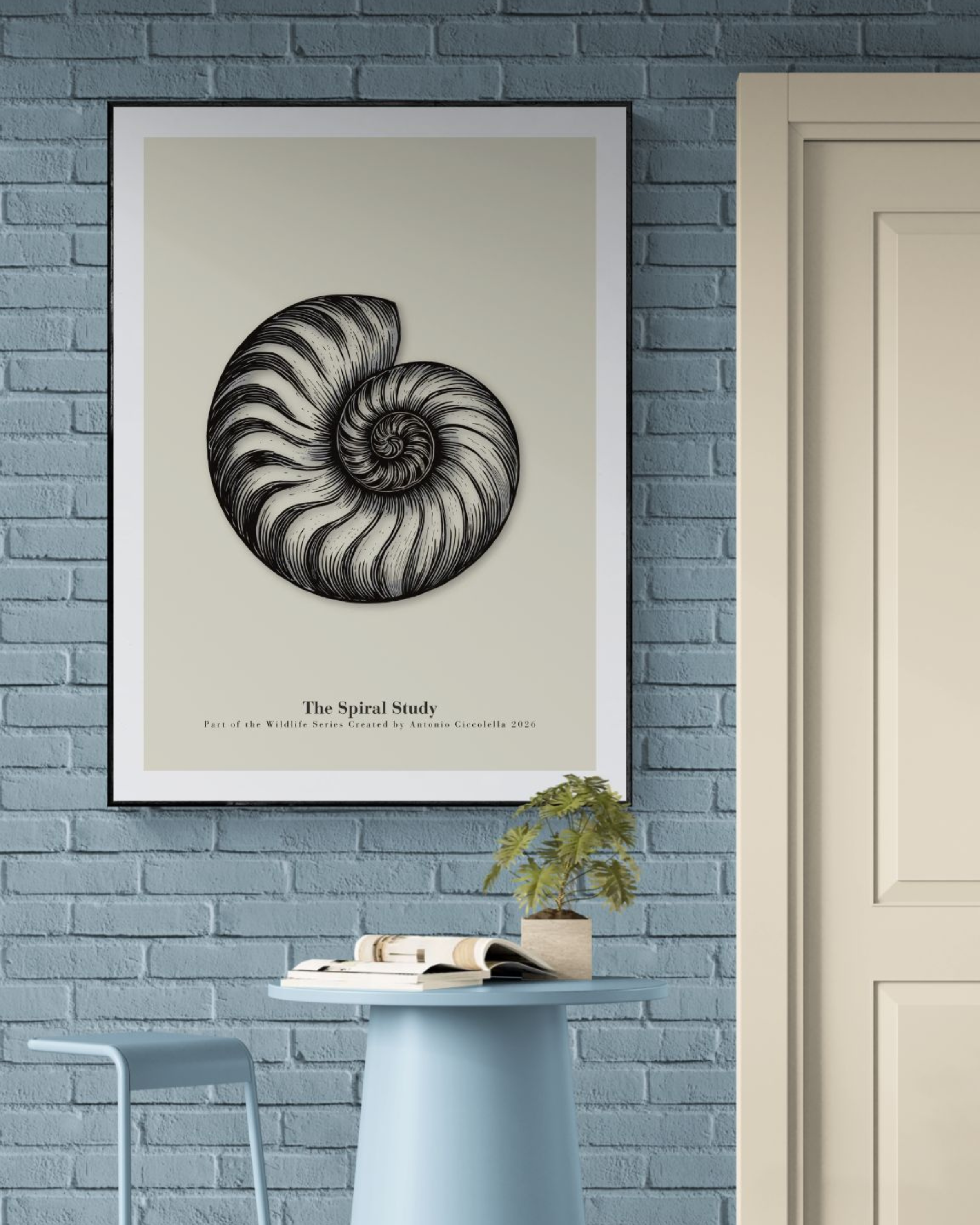 The Spiral Study | Vintage Nautilus Shell Fine Art Print