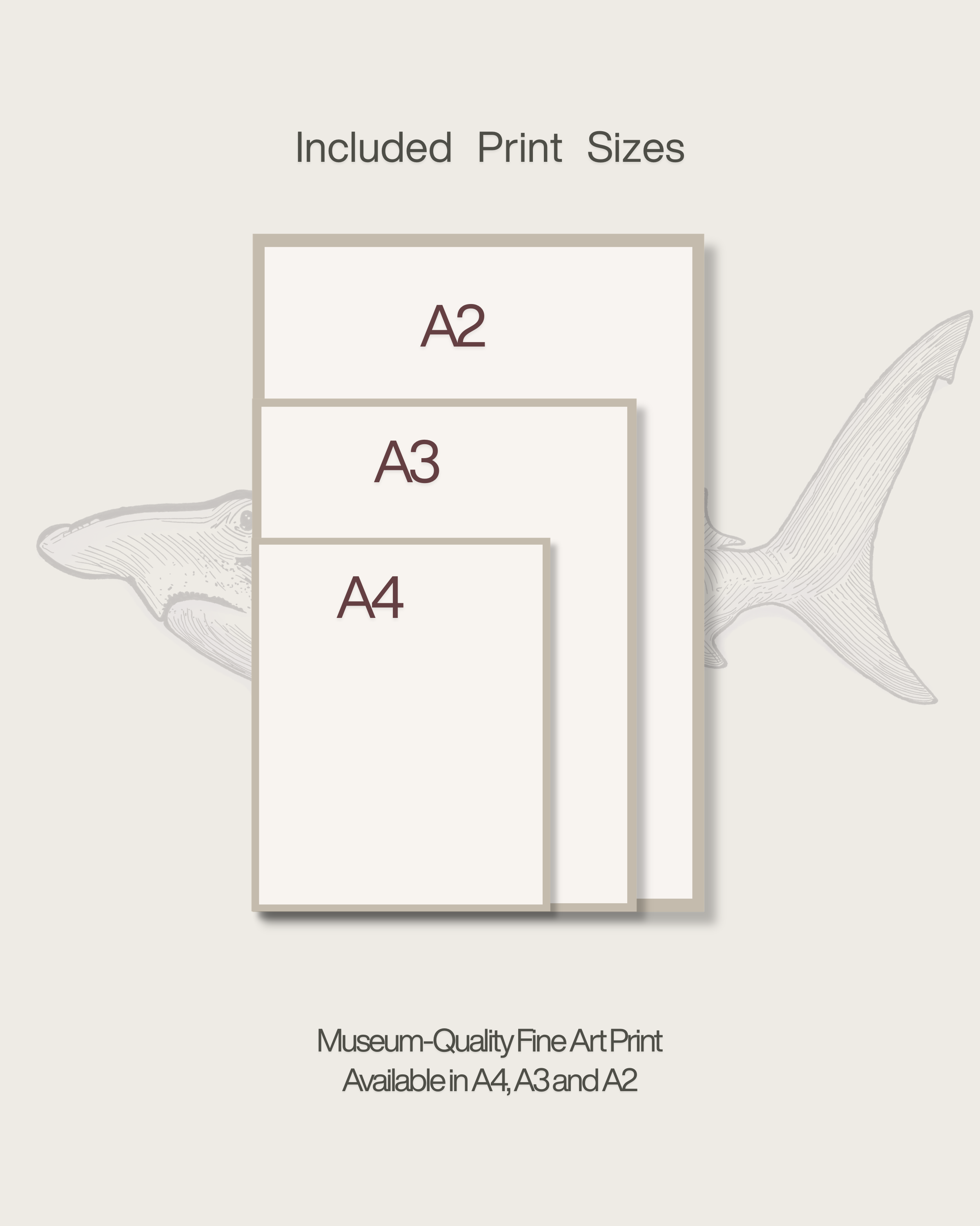 The Sfyrna Study | Vintage Hammerhead Shark Fine Art Print