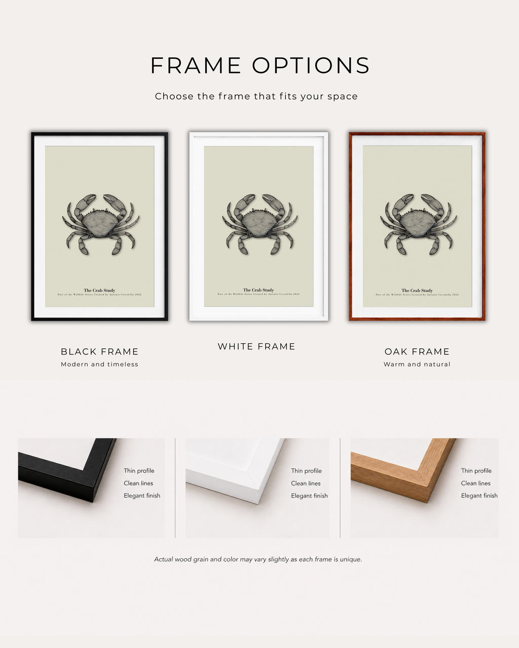 The Crab Study | Vintage Crab Fine Art Print
