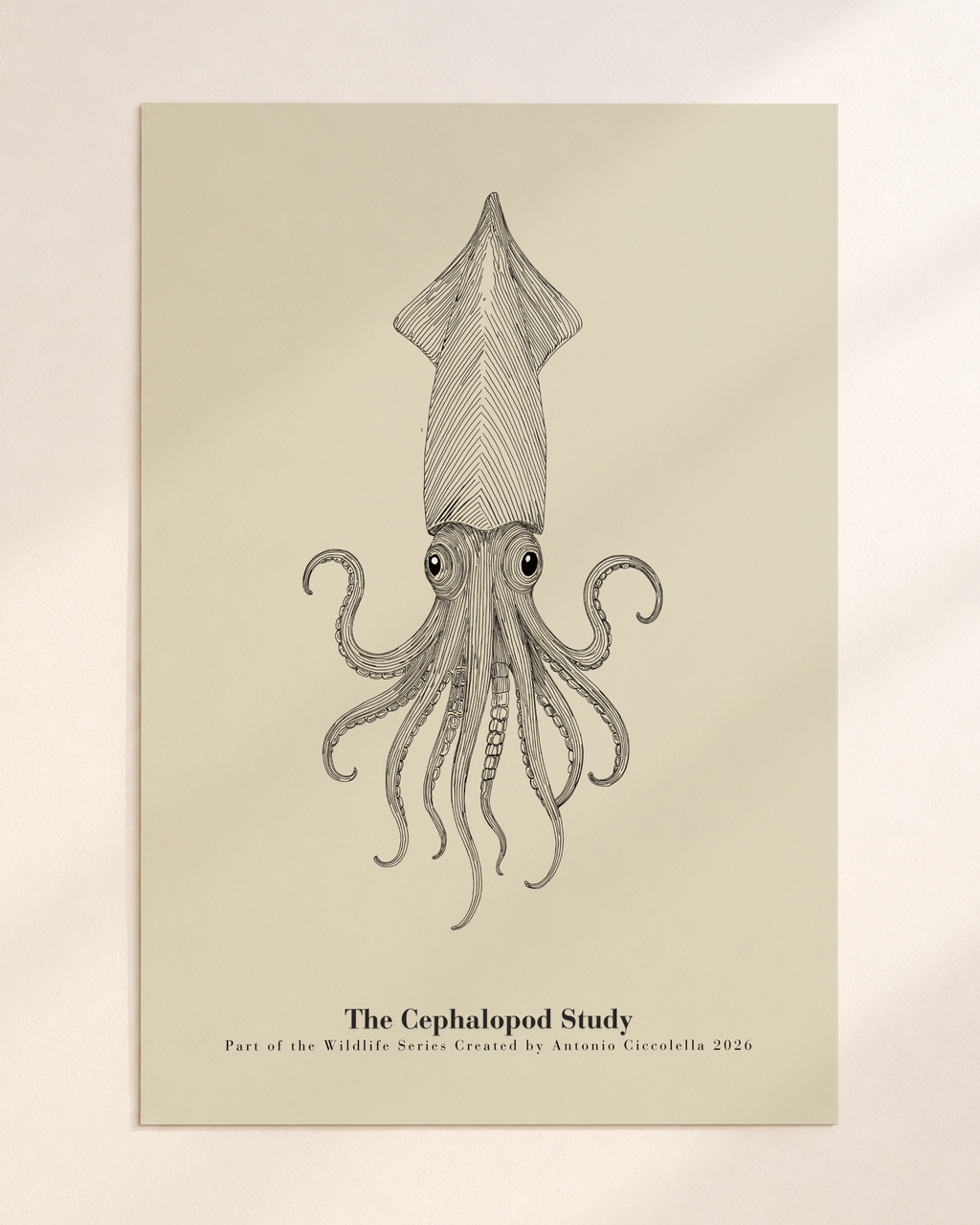 The Cephalopod Study | Gallery Paper Squid Wall Art