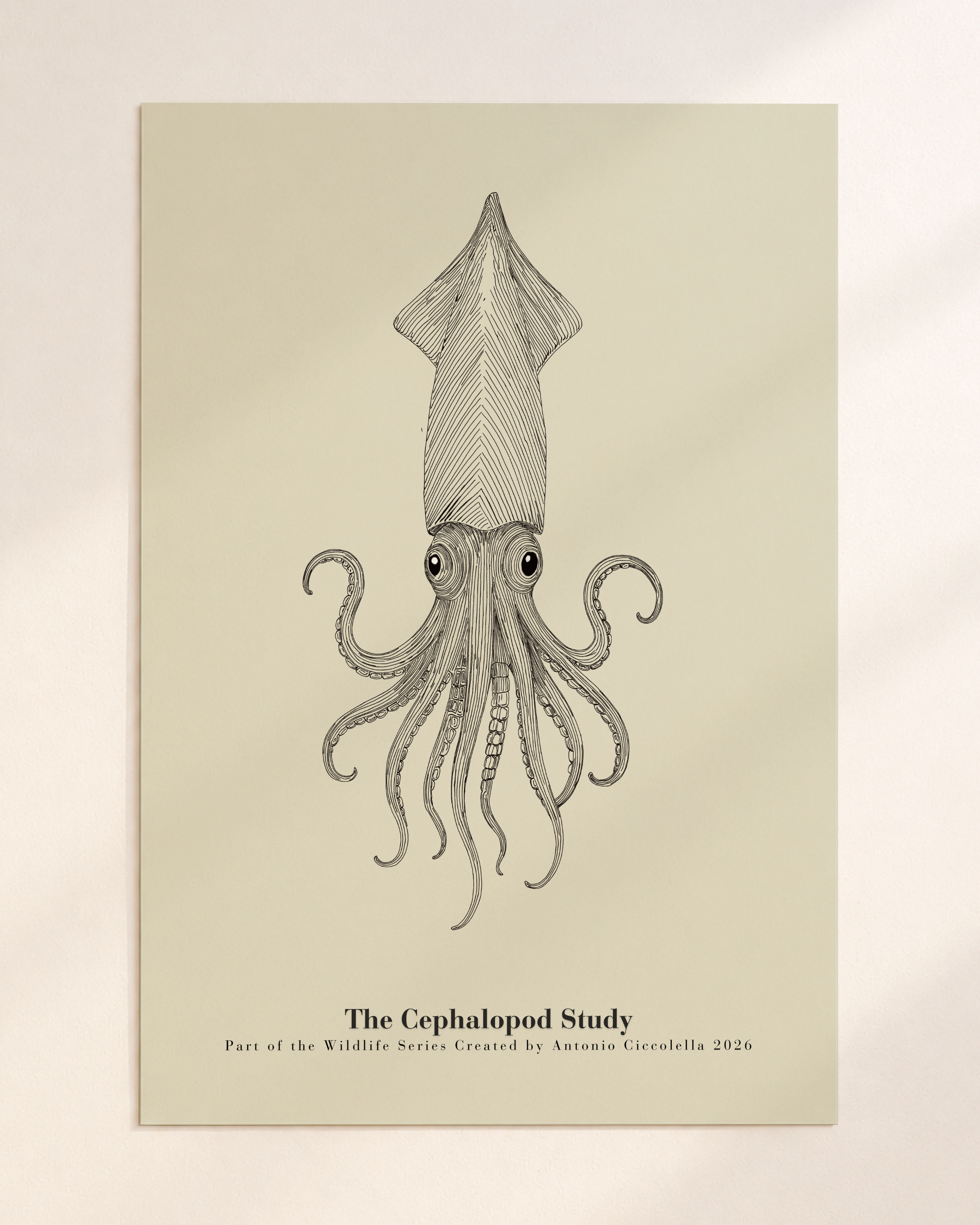 The Cephalopod Study | Gallery Paper Squid Wall Art