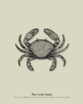 The Crab Study | Gallery Paper Crab Wall Art