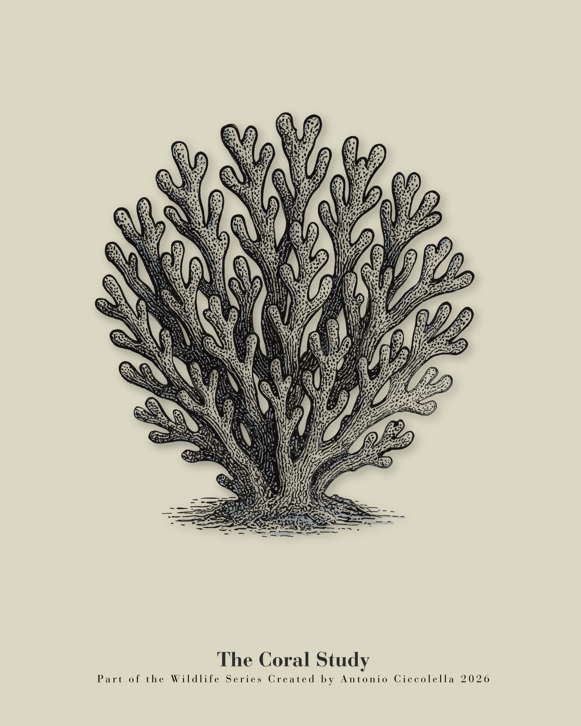 The Coral Study | Gallery Paper Coral Wall Art