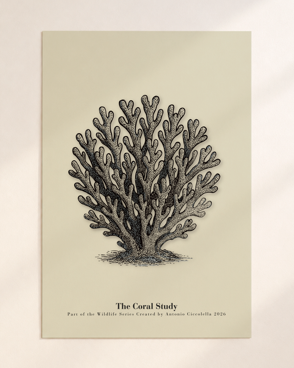 The Coral Study | Gallery Paper Coral Wall Art