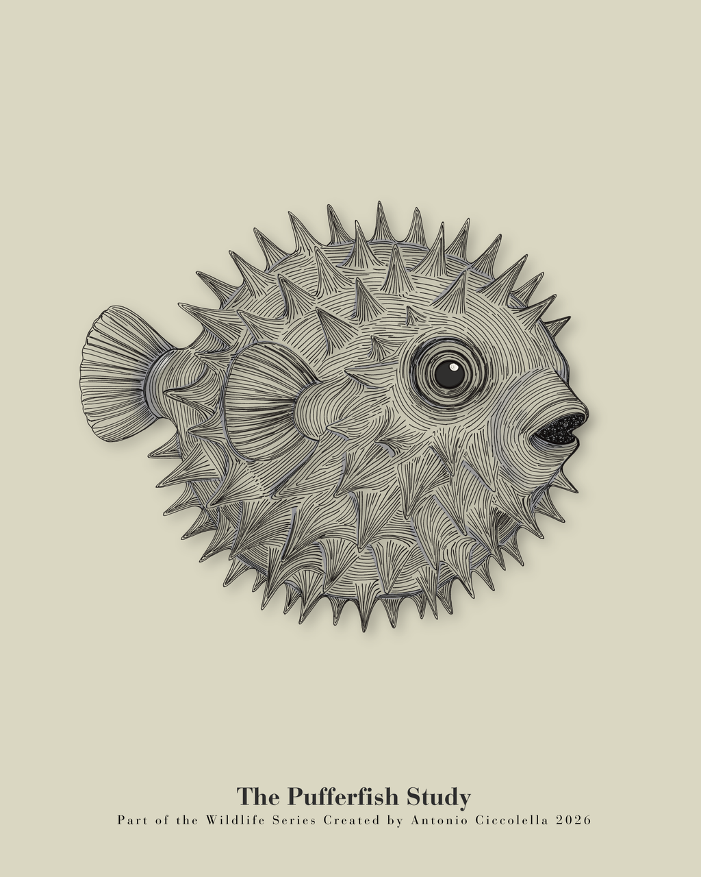 The Pufferfish Study | Gallery Paper Pufferfish Wall Art