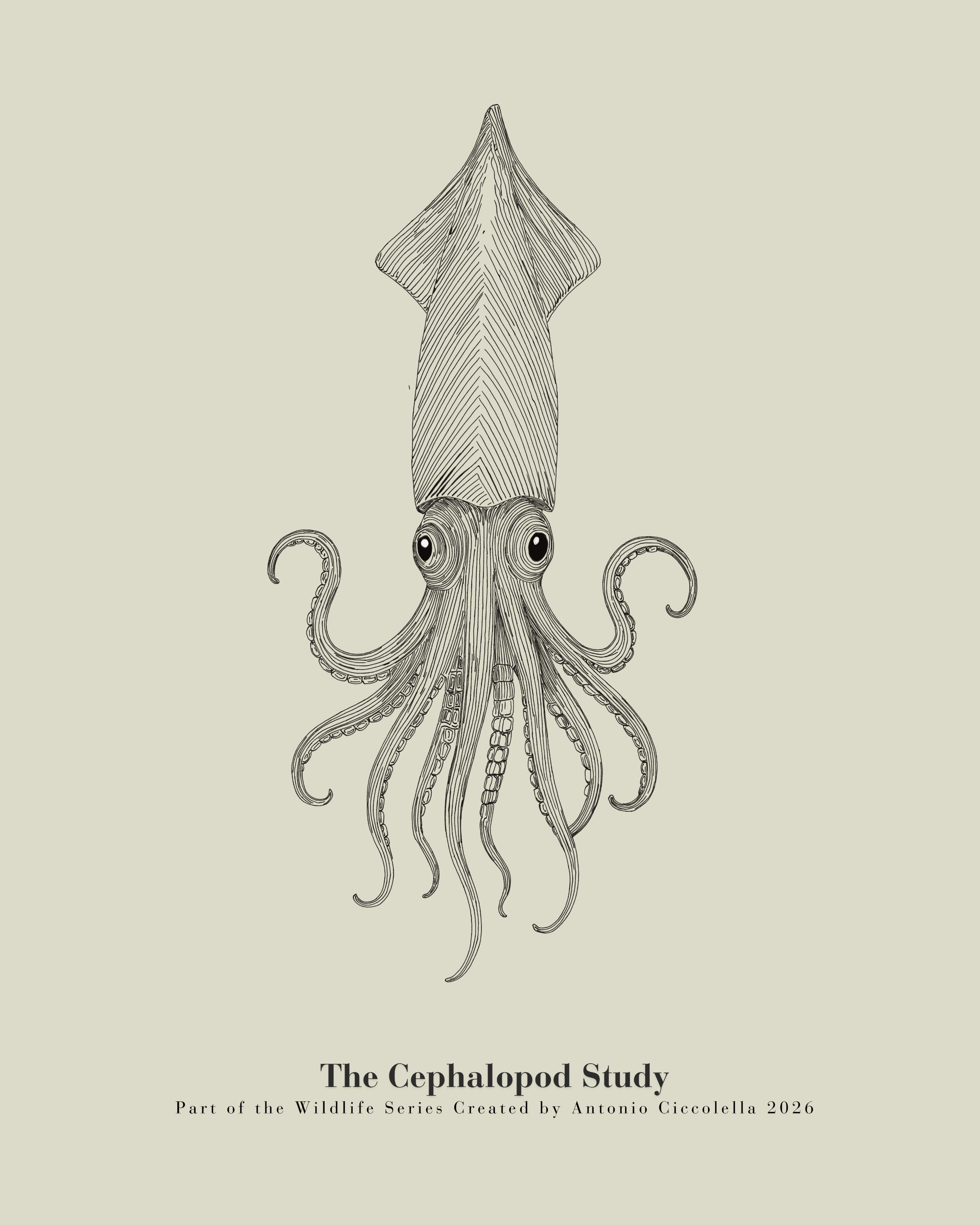 The Cephalopod Study | Vintage Squid Fine Art Print