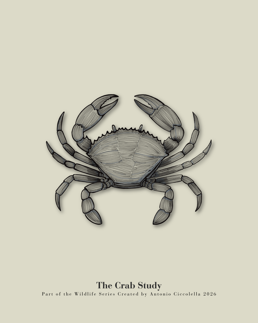 The Crab Study | Vintage Crab Fine Art Print