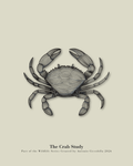 The Crab Study | Vintage Crab Fine Art Print