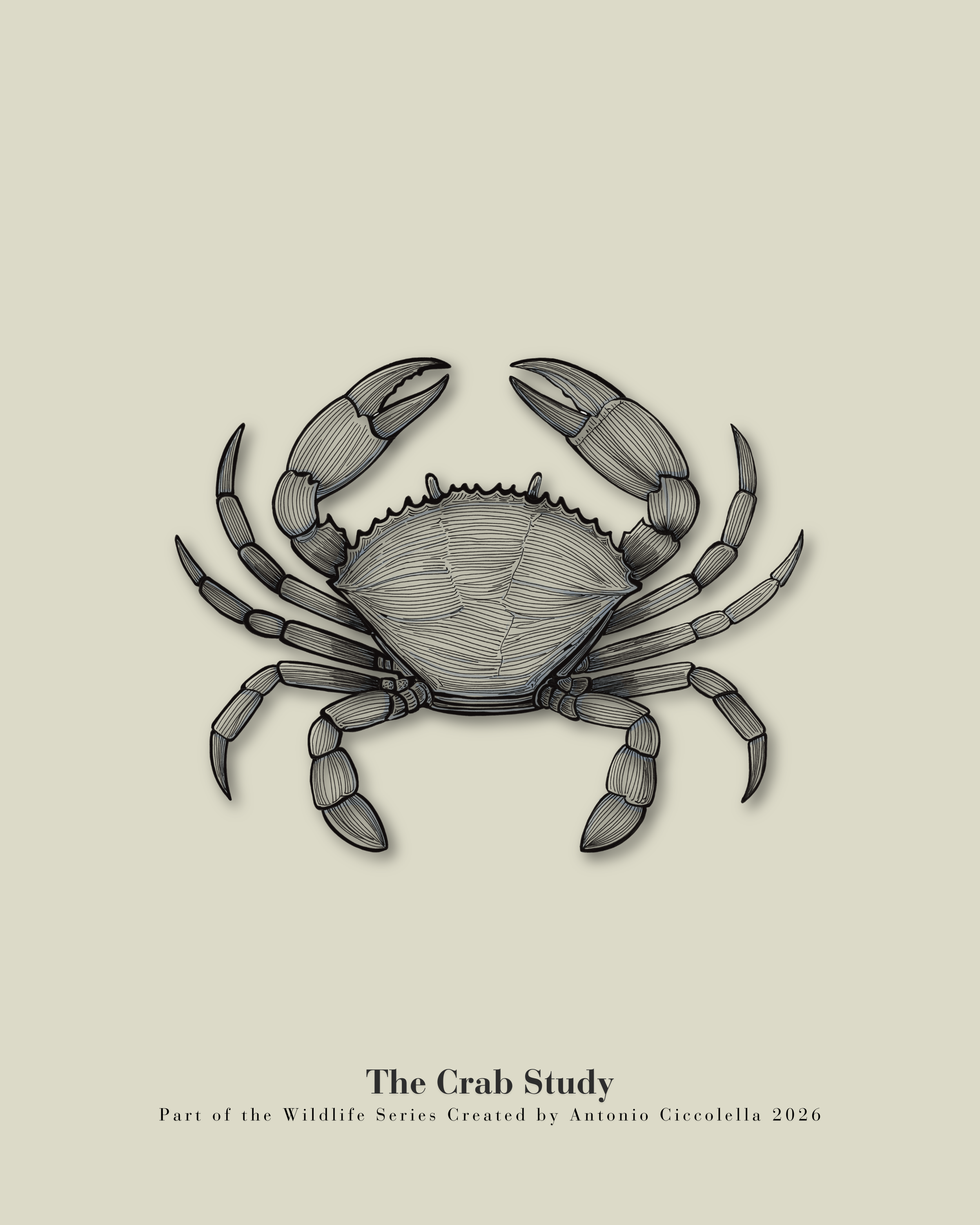 The Crab Study | Vintage Crab Fine Art Print
