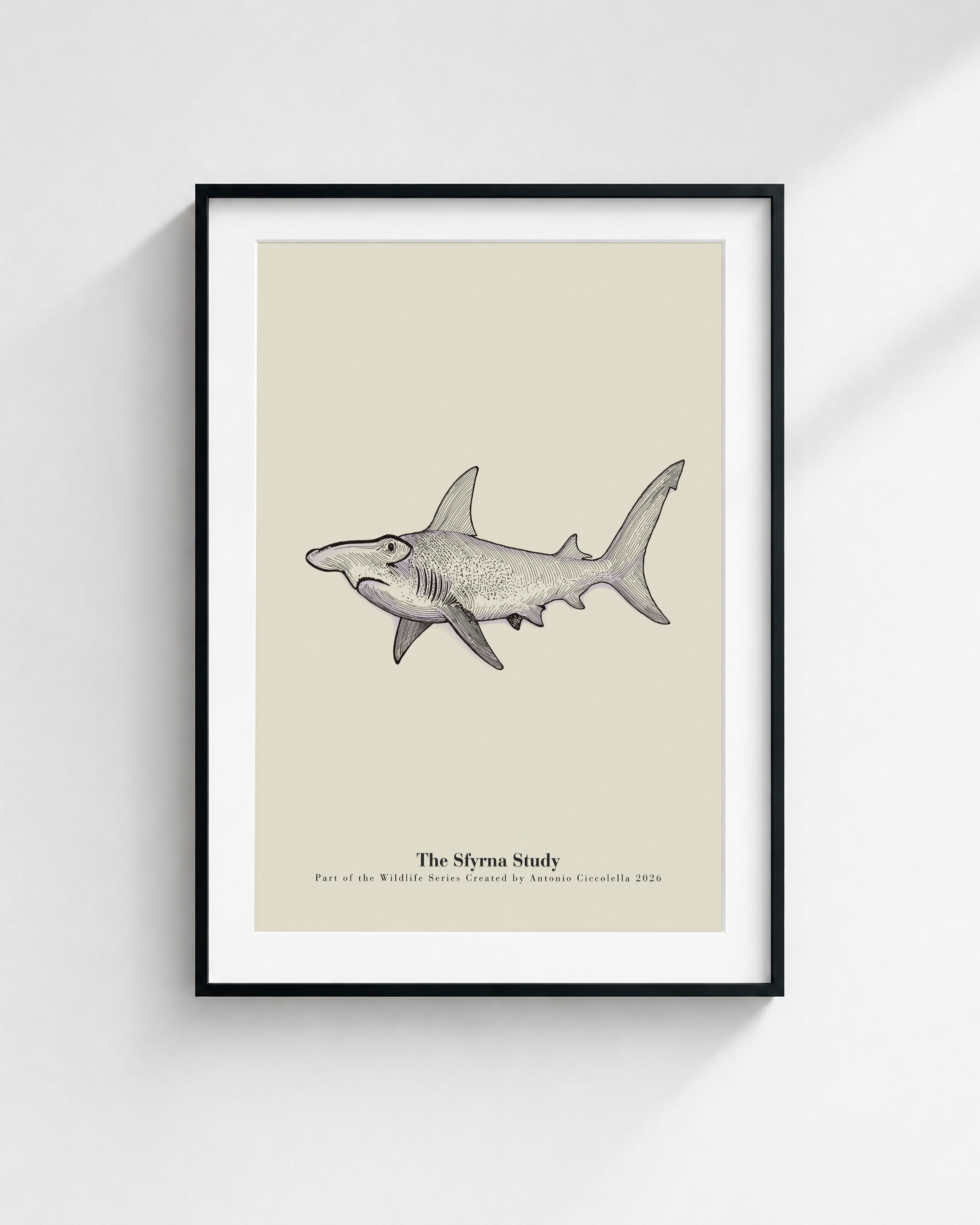 The Sfyrna Study | Vintage Hammerhead Shark Fine Art Print