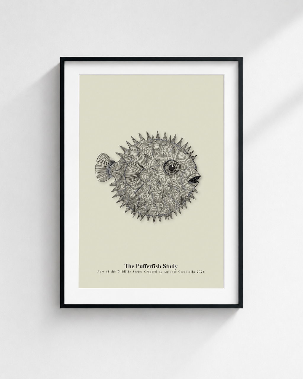 The Pufferfish Study | Vintage Pufferfish Fine Art Print