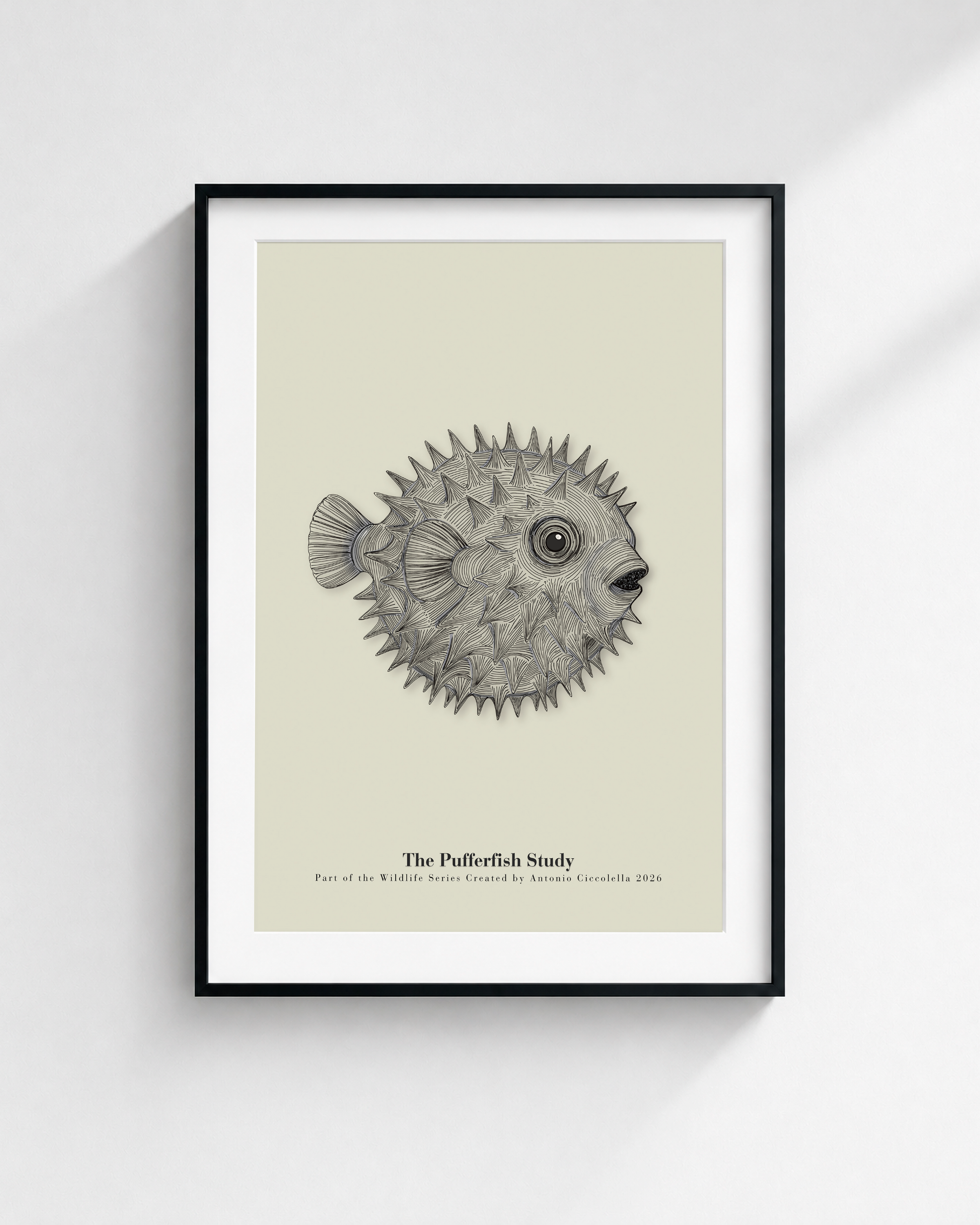 The Pufferfish Study | Vintage Pufferfish Fine Art Print