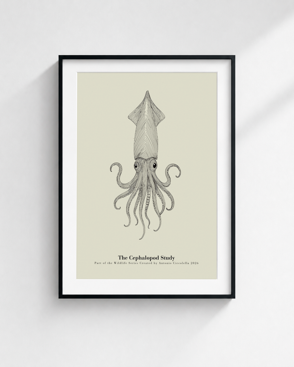 The Cephalopod Study | Vintage Squid Fine Art Print