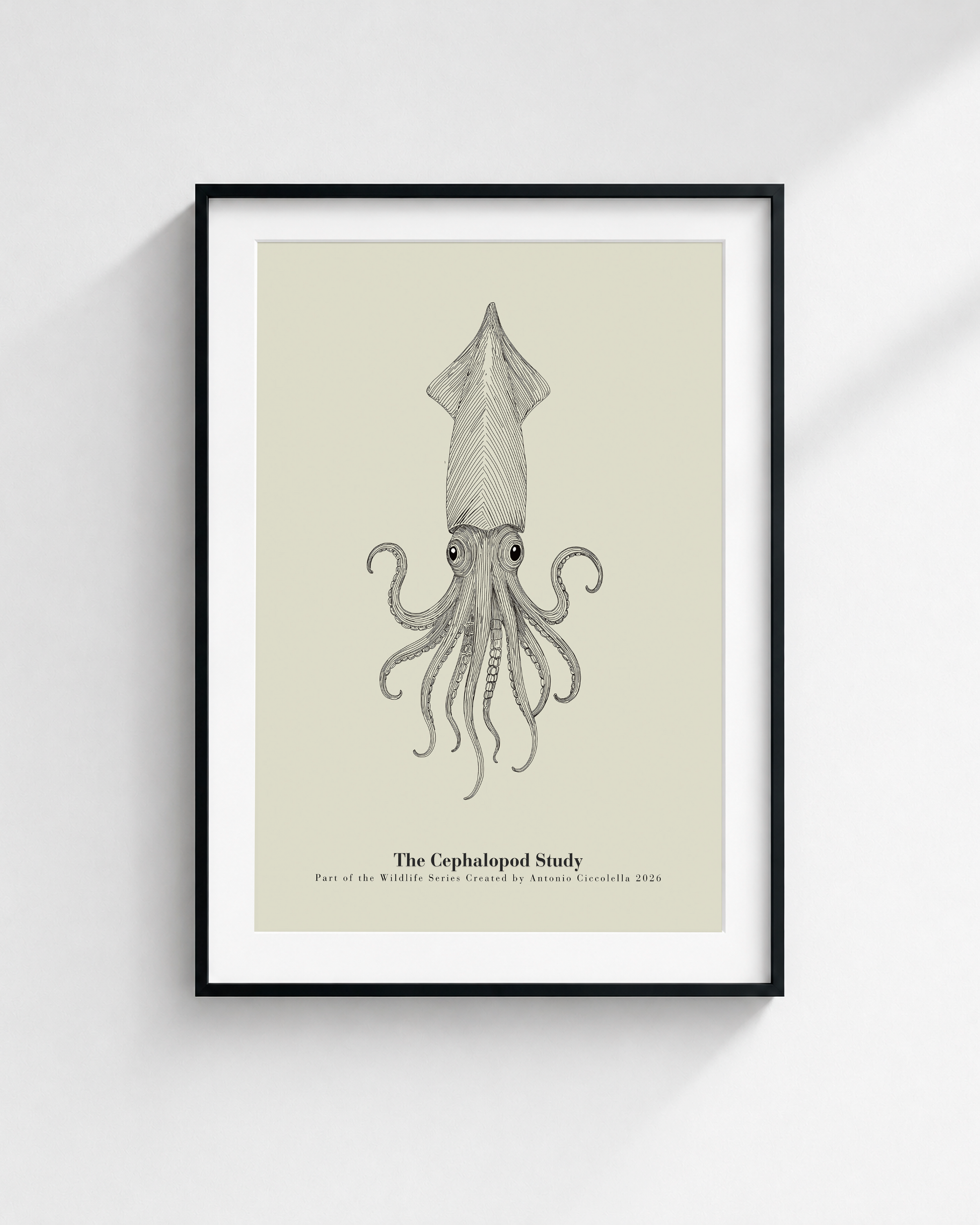 The Cephalopod Study | Vintage Squid Fine Art Print