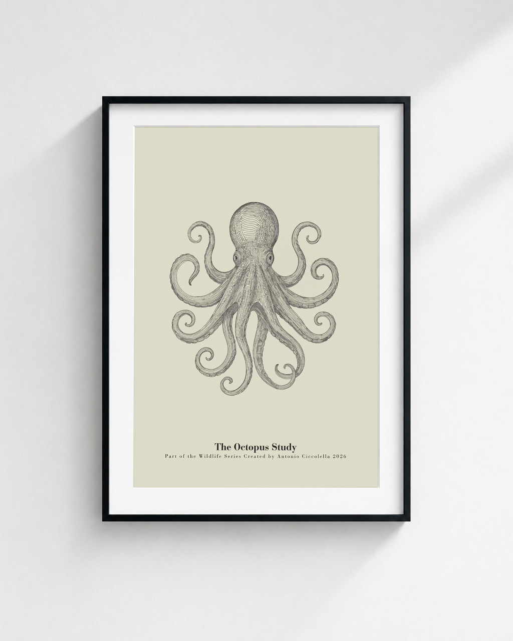 The Octopus Study | Vintage Octopus Fine Art Print