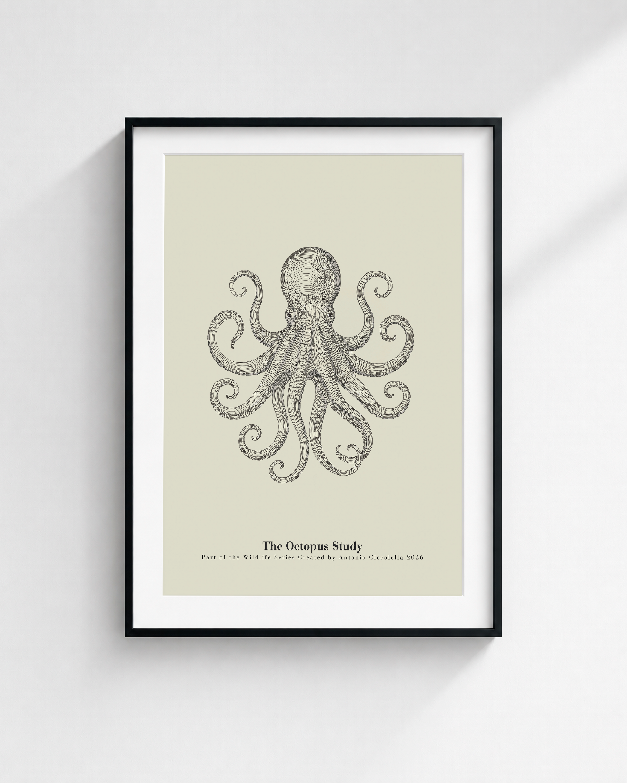 The Octopus Study | Vintage Octopus Fine Art Print