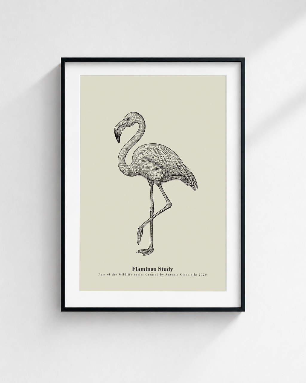 Flamingo Study | Vintage Flamingo Fine Art Print