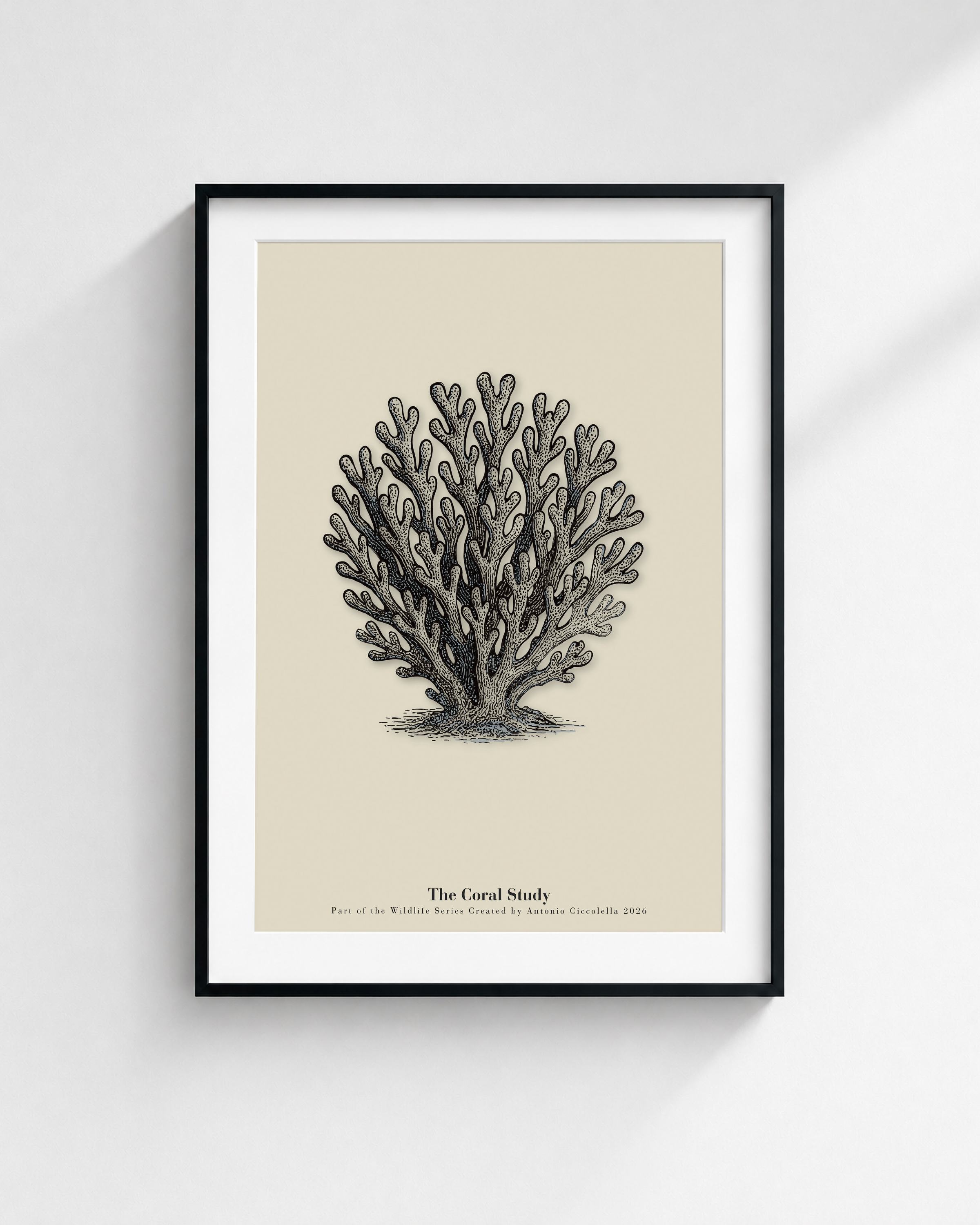 The Coral Study | Vintage Coral Fine Art Print