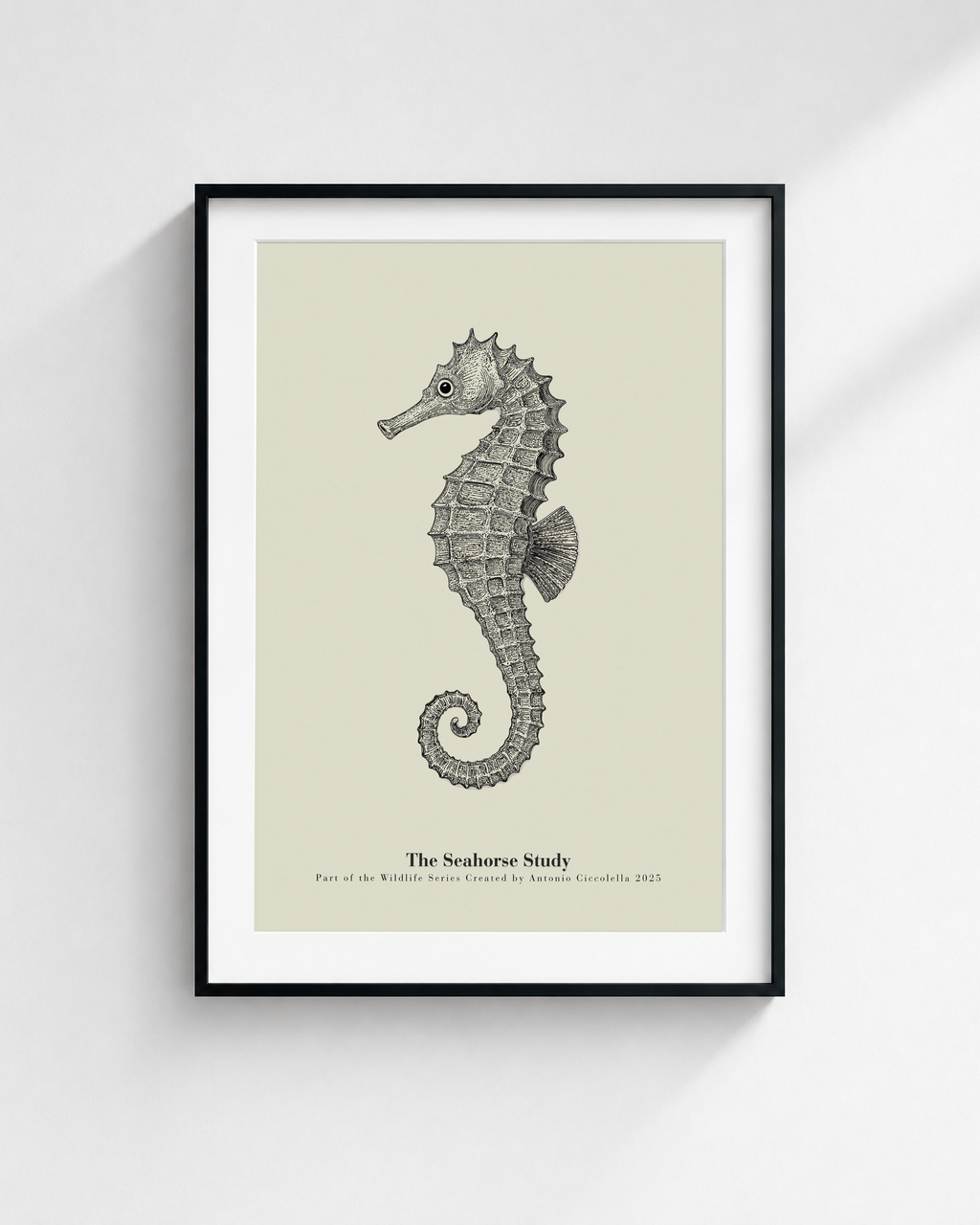The Seahorse Study | Vintage Seahorse Fine Art Print