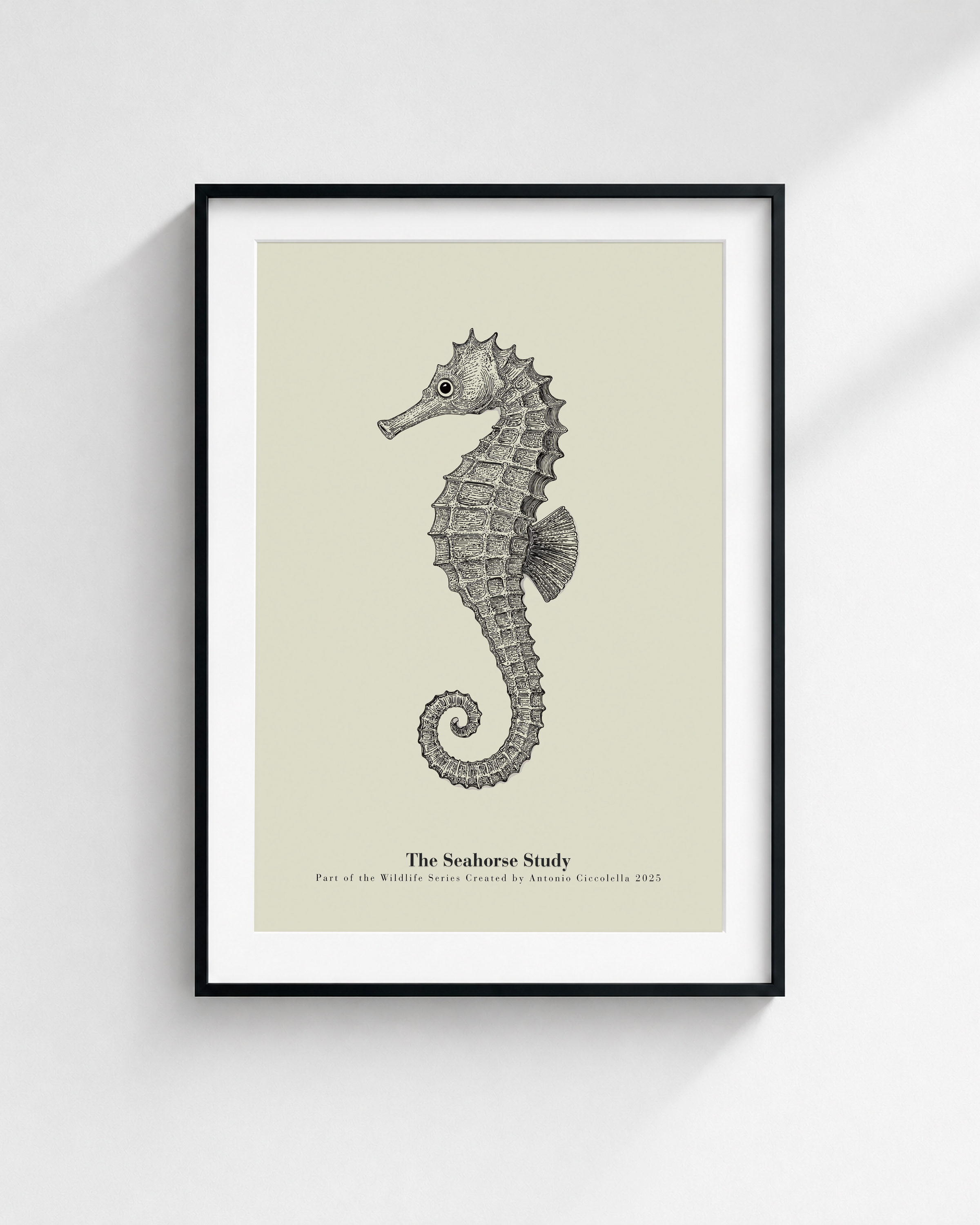 The Seahorse Study | Vintage Seahorse Fine Art Print