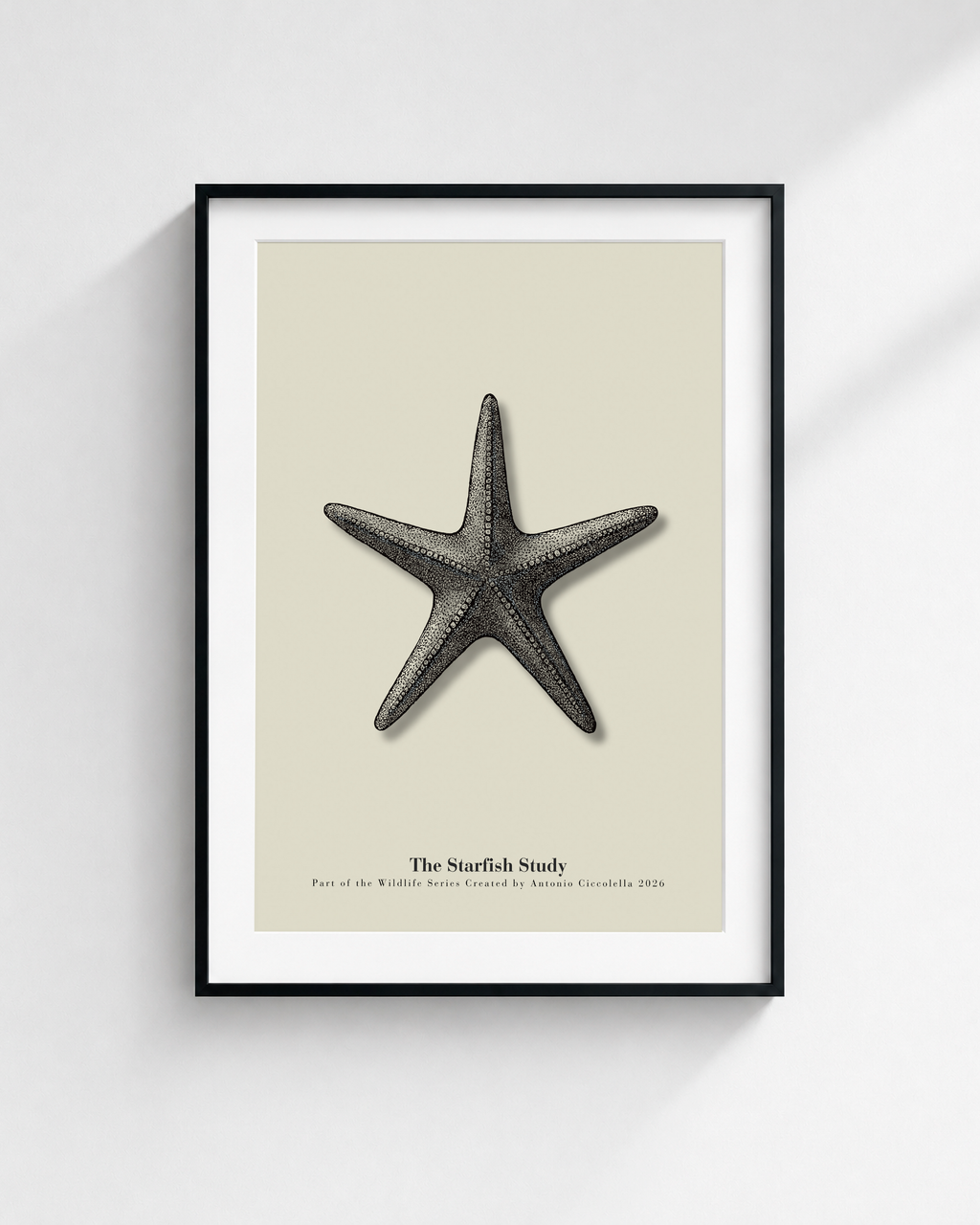 The Starfish Study | Vintage Starfish Fine Art Print
