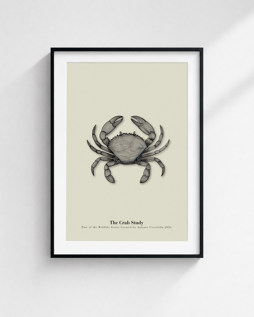 The Crab Study | Vintage Crab Fine Art Print