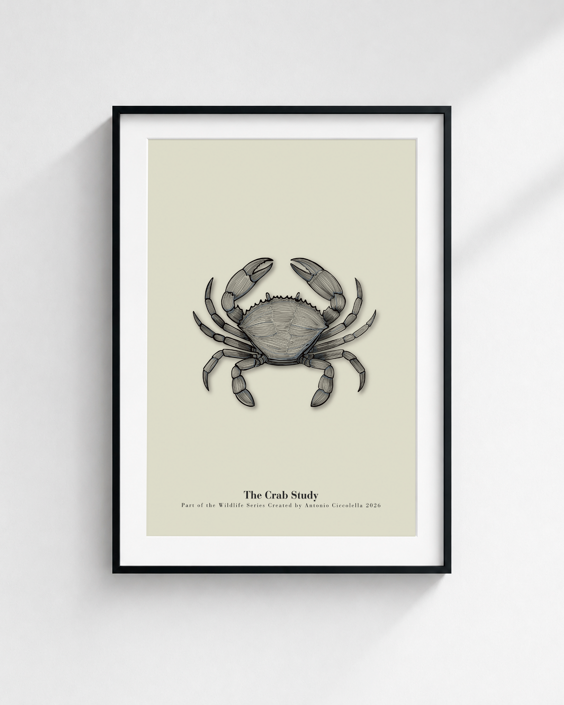 The Crab Study | Vintage Crab Fine Art Print