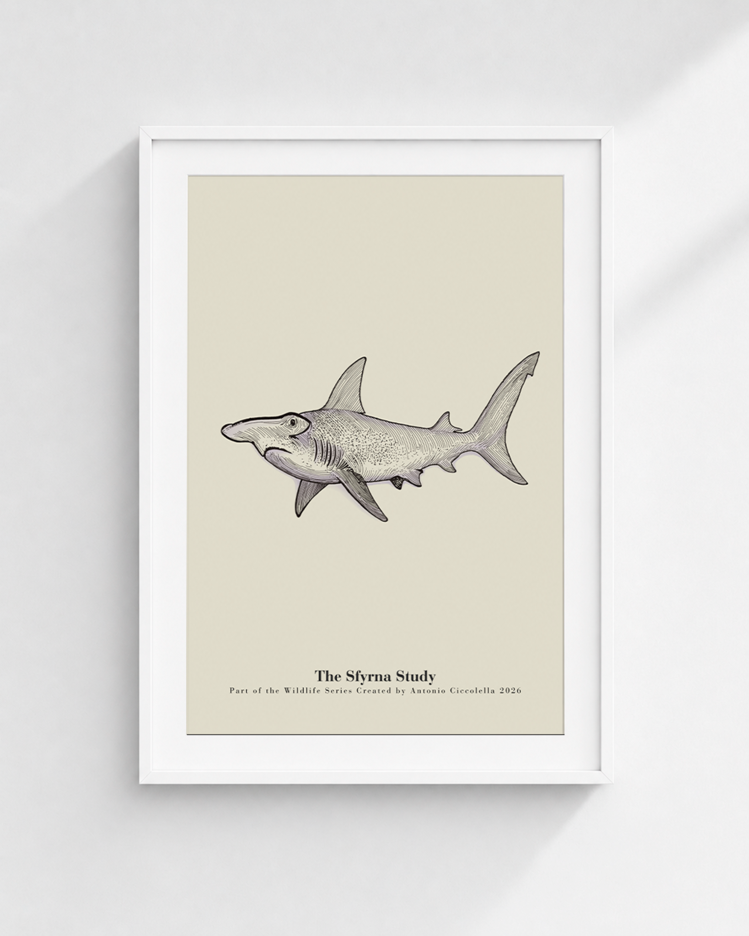 The Sfyrna Study | Vintage Hammerhead Shark Fine Art Print