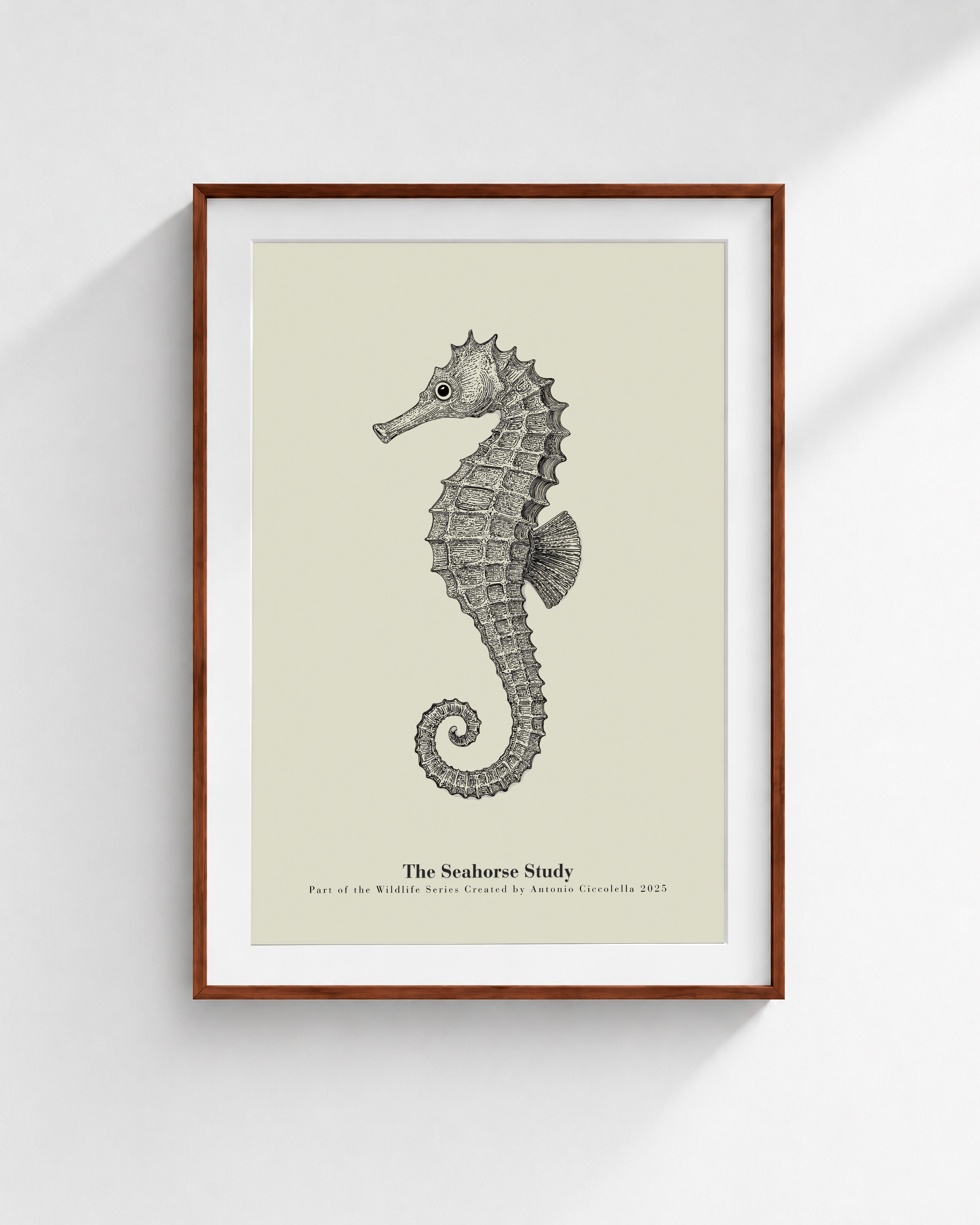 The Seahorse Study | Vintage Seahorse Fine Art Print