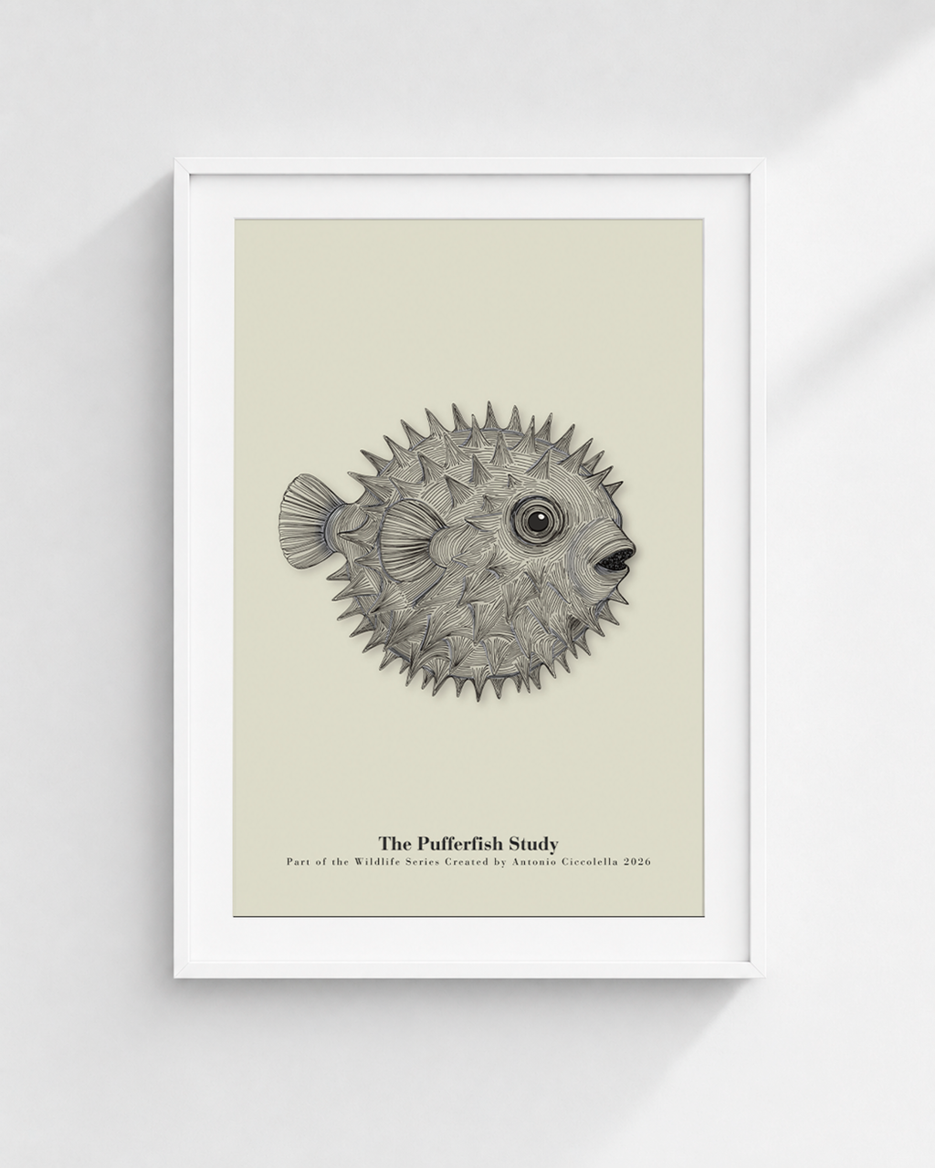 The Pufferfish Study | Vintage Pufferfish Fine Art Print
