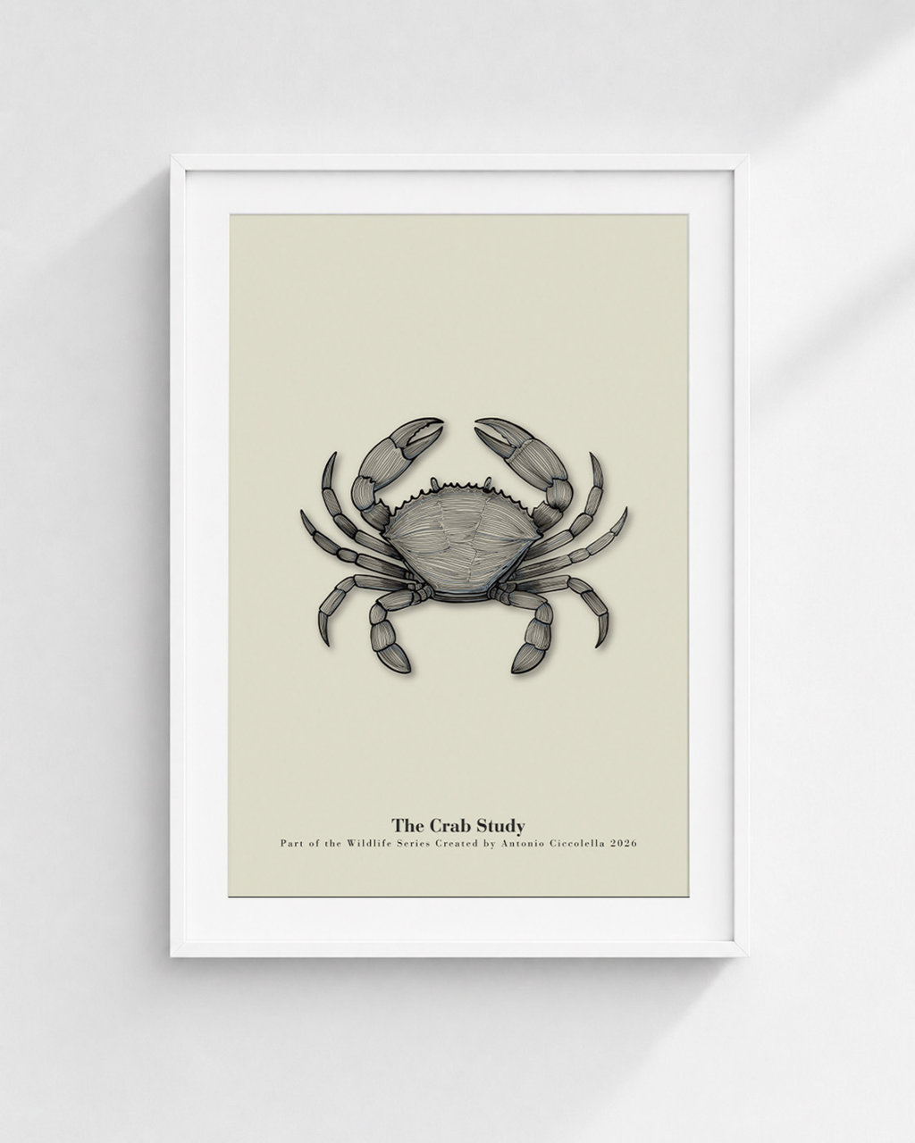 The Crab Study | Vintage Crab Fine Art Print