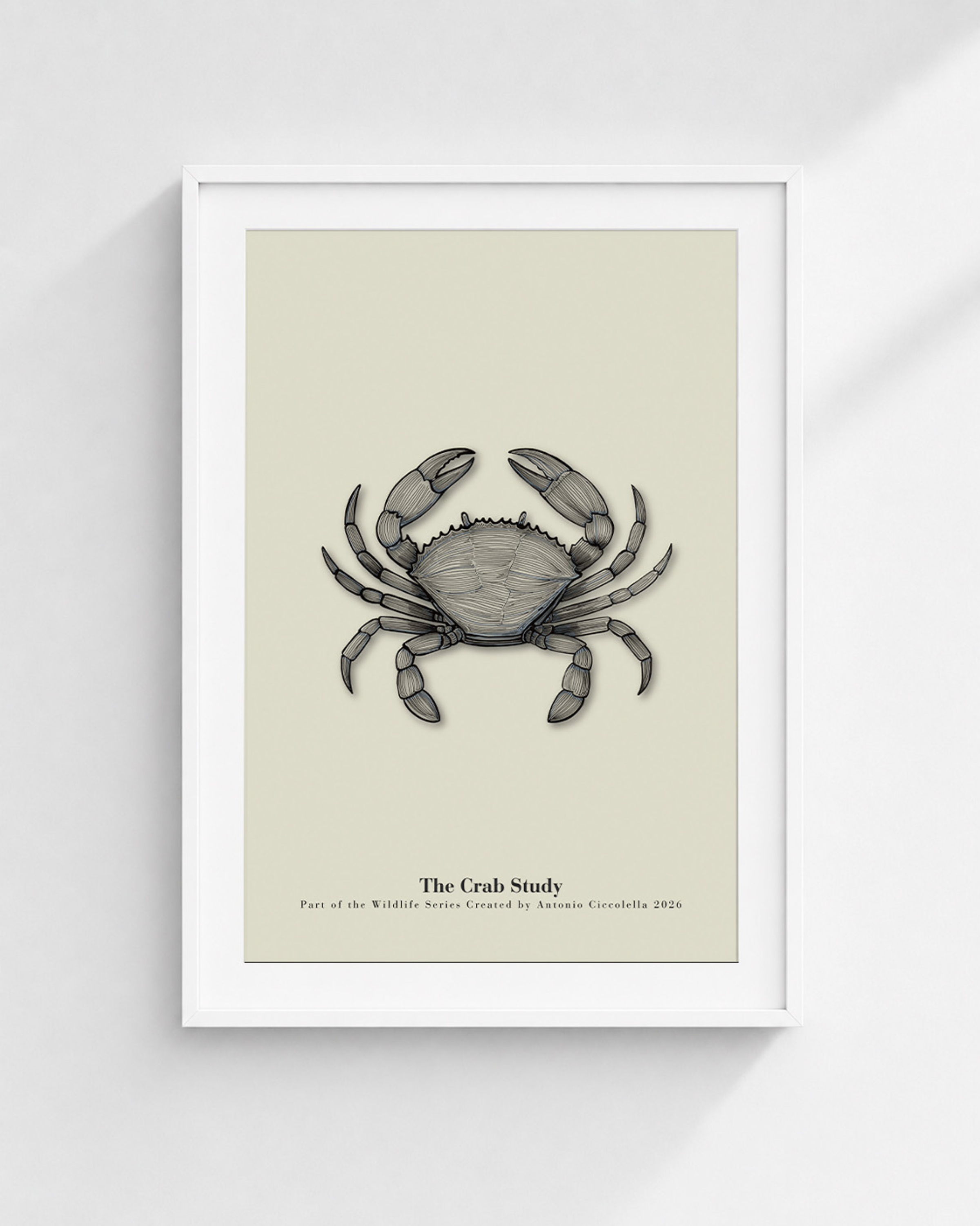 The Crab Study | Vintage Crab Fine Art Print
