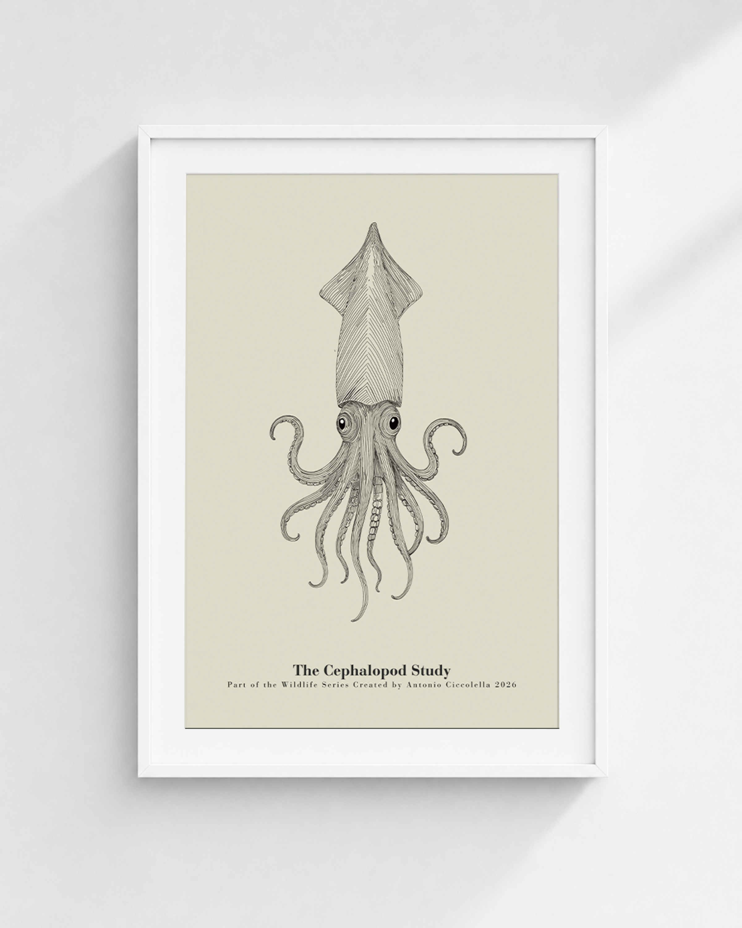 The Cephalopod Study | Vintage Squid Fine Art Print