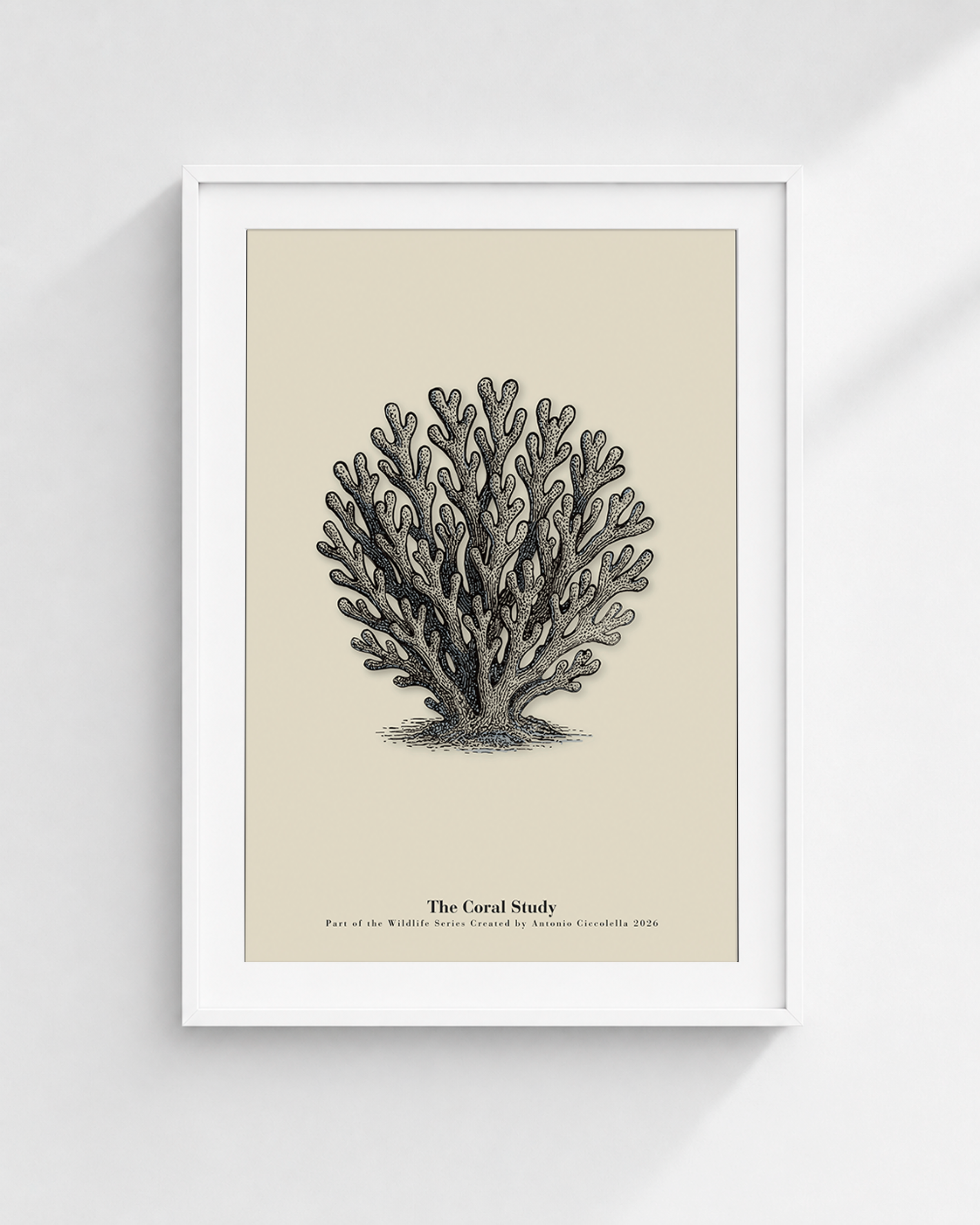 The Coral Study | Vintage Coral Fine Art Print