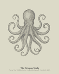 The Octopus Study | Gallery Paper Octopus Wall Art