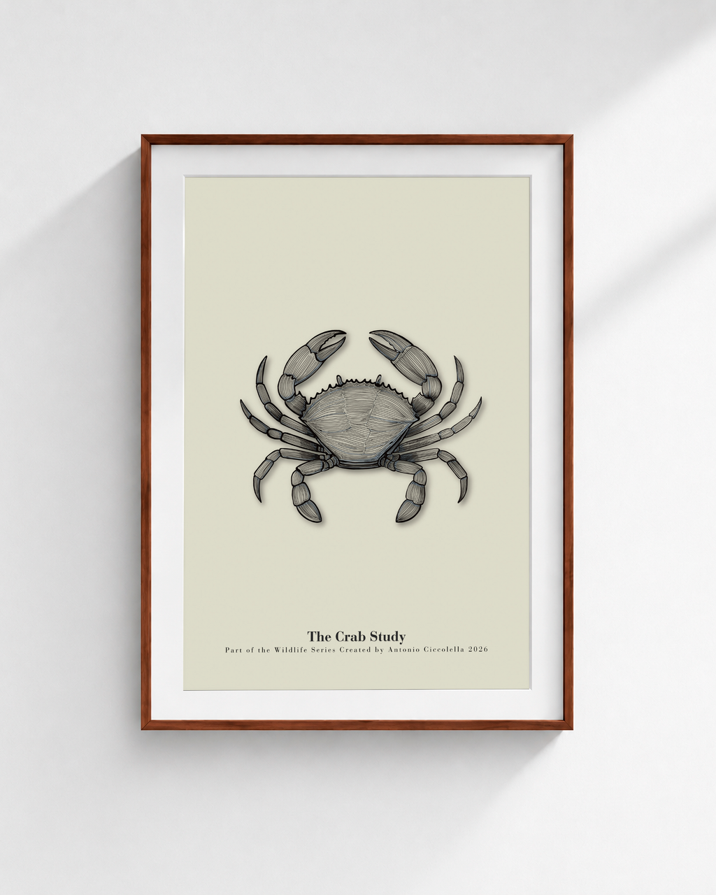 The Crab Study | Vintage Crab Fine Art Print