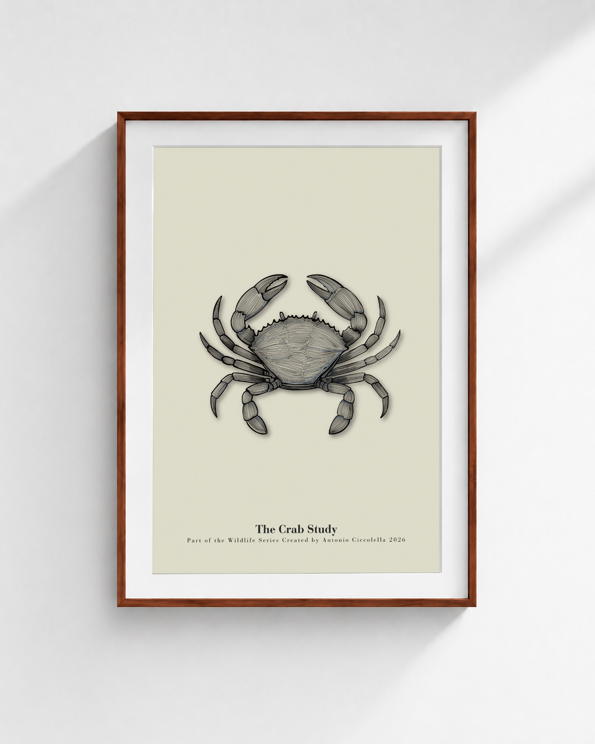 The Crab Study | Vintage Crab Fine Art Print