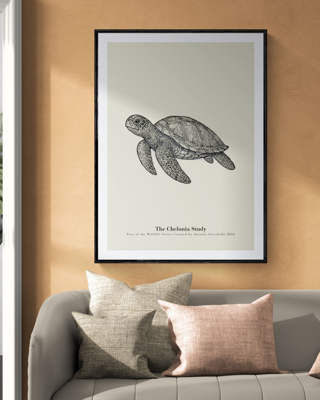 The Chelonia Study | Vintage Sea Turtle Fine Art Print
