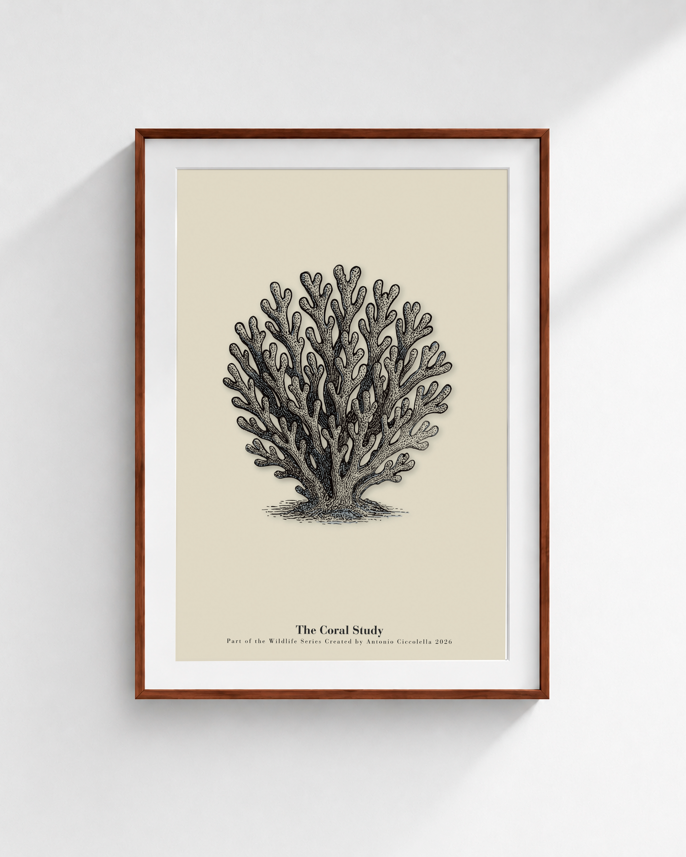 The Coral Study | Vintage Coral Fine Art Print