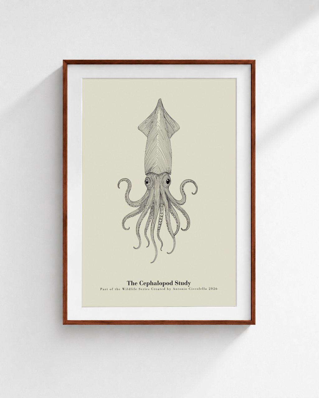 The Cephalopod Study | Vintage Squid Fine Art Print