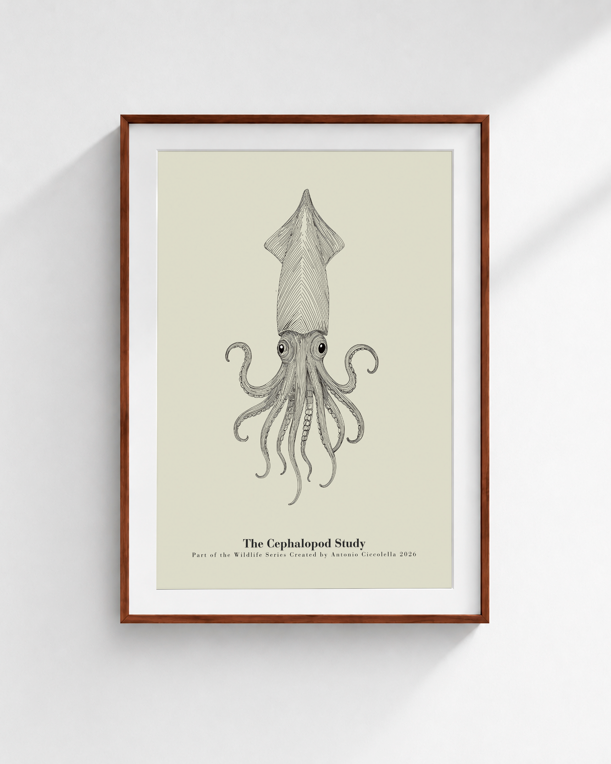 The Cephalopod Study | Vintage Squid Fine Art Print