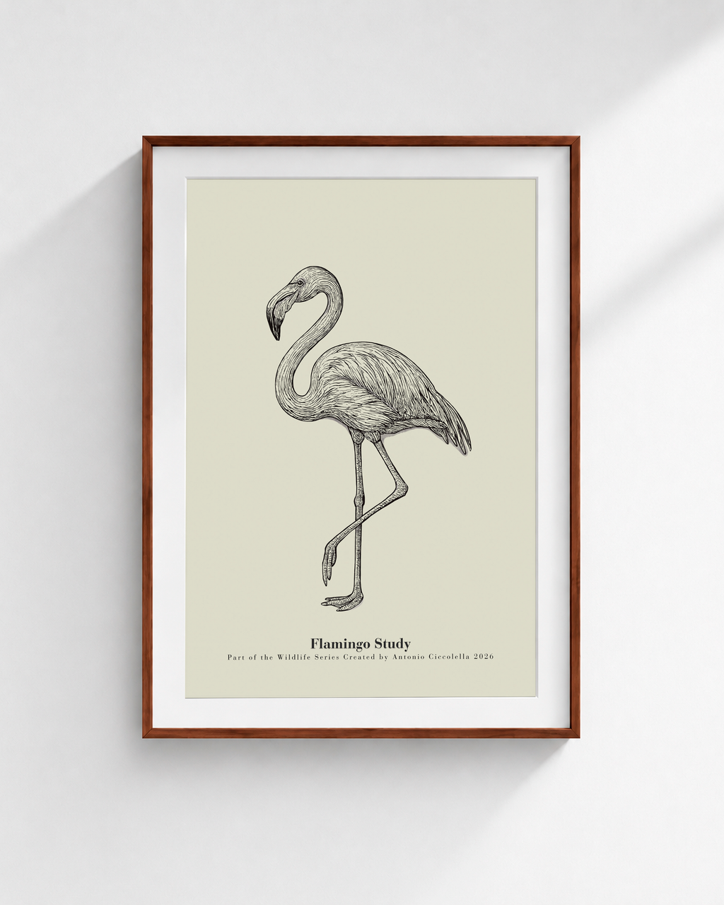 Flamingo Study | Vintage Flamingo Fine Art Print