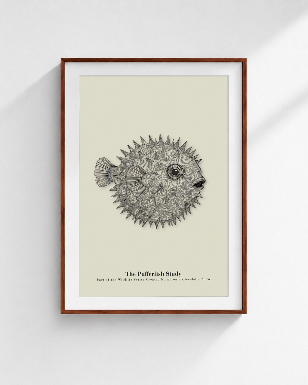 The Pufferfish Study | Vintage Pufferfish Fine Art Print