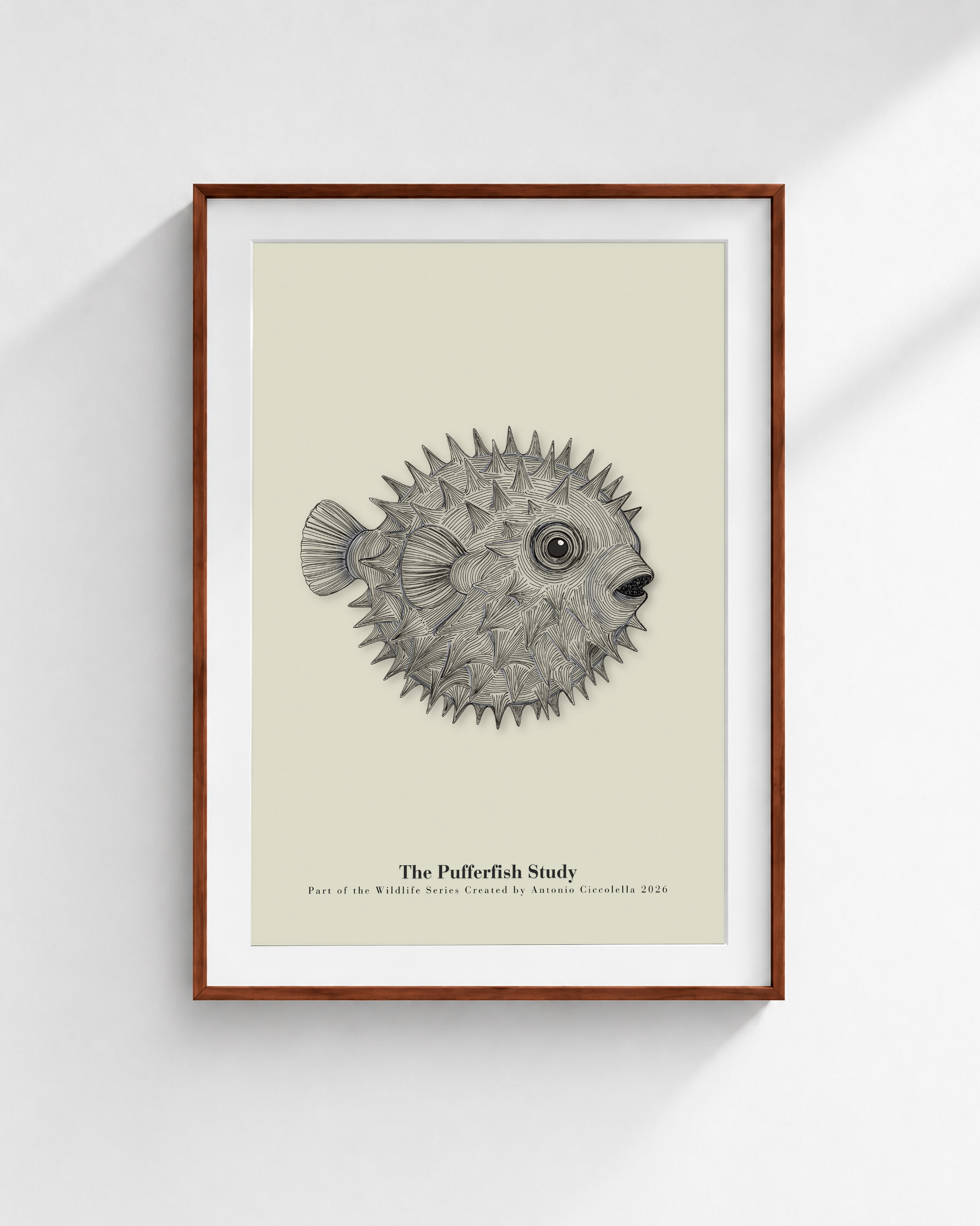 The Pufferfish Study | Vintage Pufferfish Fine Art Print