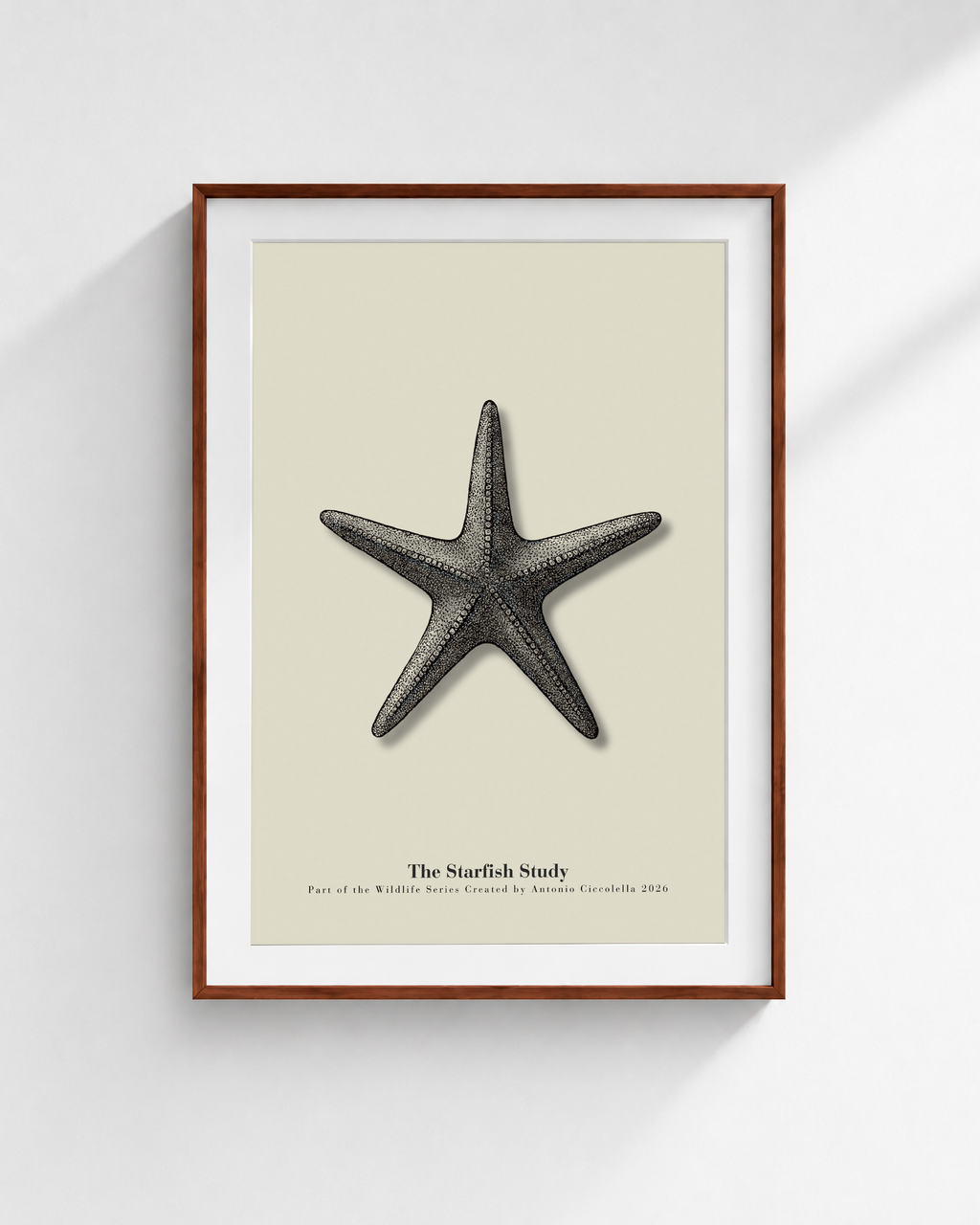 The Starfish Study | Vintage Starfish Fine Art Print