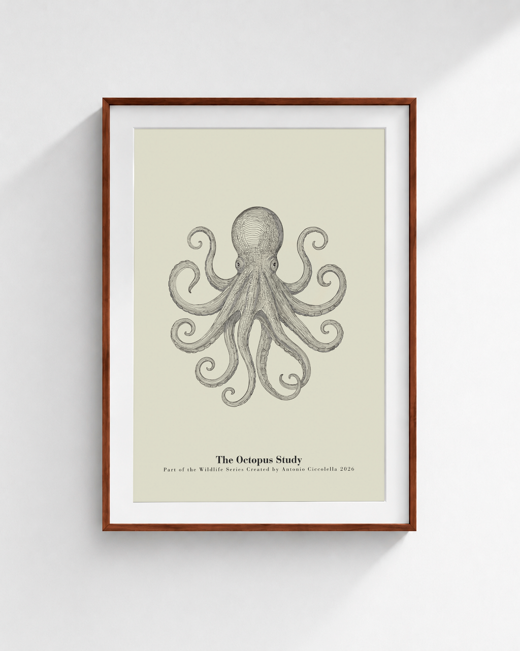 The Octopus Study | Vintage Octopus Fine Art Print