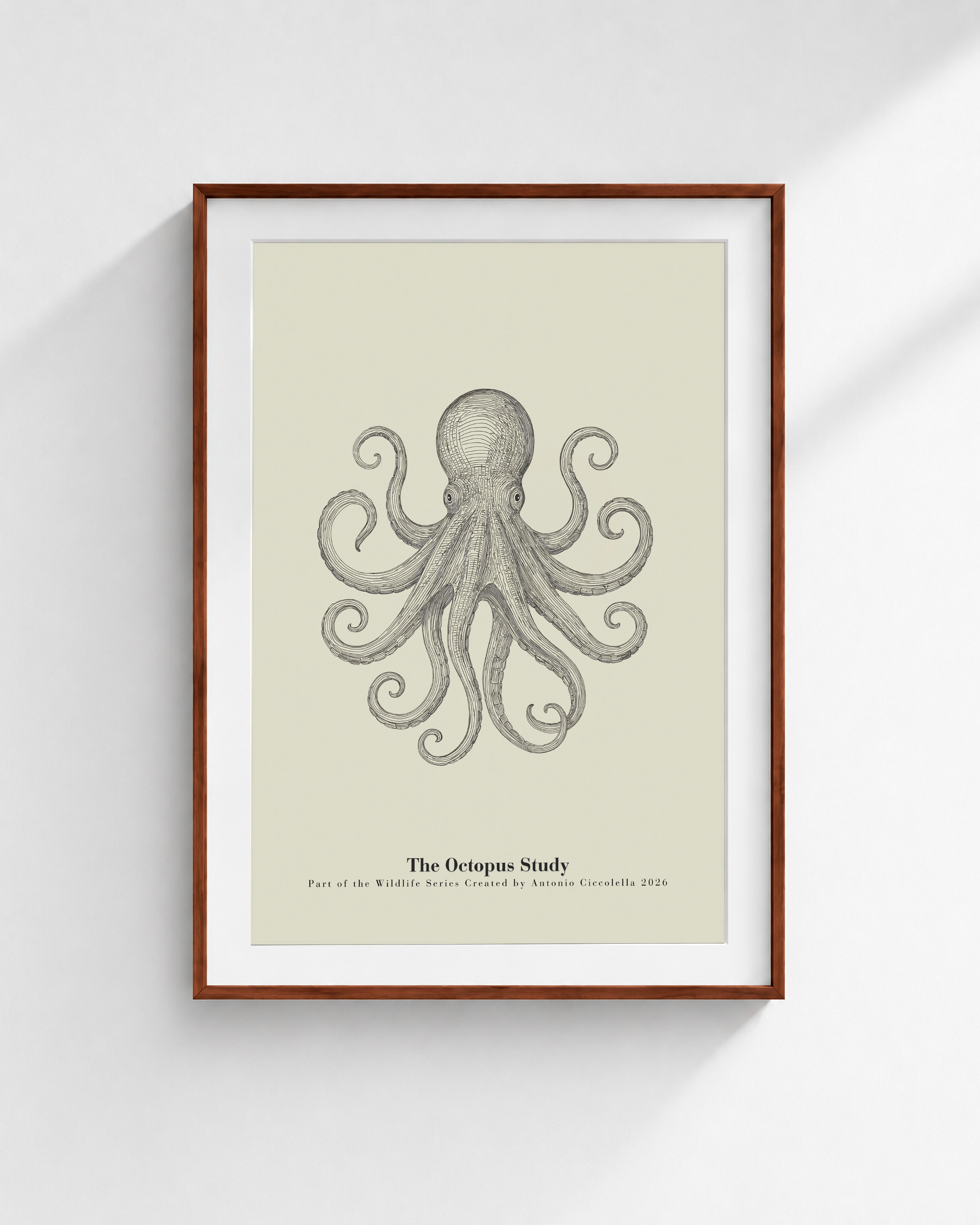 The Octopus Study | Vintage Octopus Fine Art Print