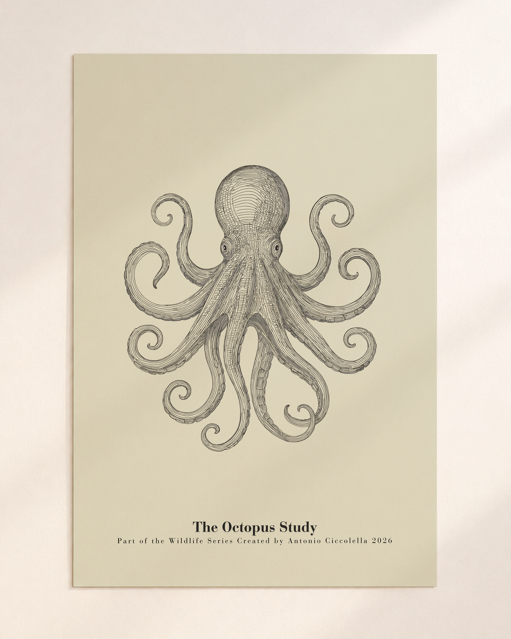The Octopus Study | Gallery Paper Octopus Wall Art