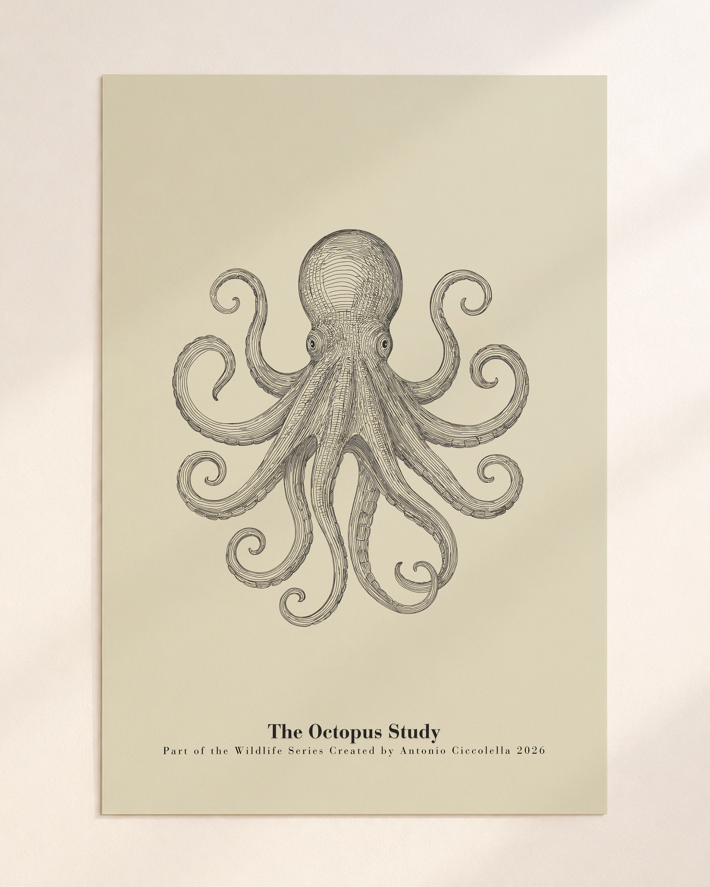 The Octopus Study | Gallery Paper Octopus Wall Art